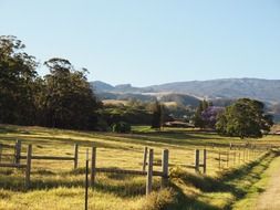 scenic countryside in Hawaii