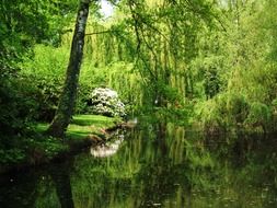 landscape of state garden show