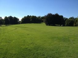 landscape of trees on Meadow in Berlin