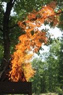 fire in the grill on the nature