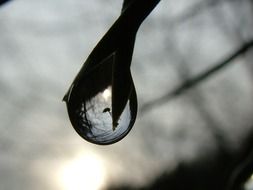 Raindrop on the branch in autumn