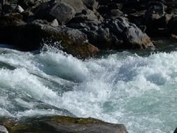 rough river in the alps in spring