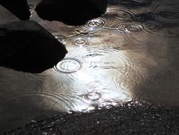 Rain drops falling in the lake