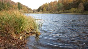 lake among nature