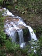 scenic waterfall in forest, australia, tasmania
