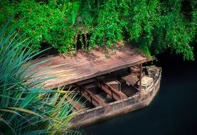 boat on the water under the branches of trees