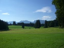 green picturesque meadows at the foot of the Kaiser mountains