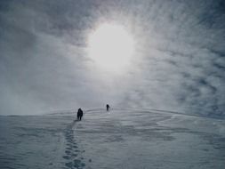 rock climbers in Denali National Park