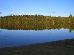 autumn forest is reflected in the water on a sunny day