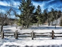 Wintry landscape, usa, North carolina