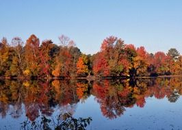 Mirror reflection of autumn trees in the lake