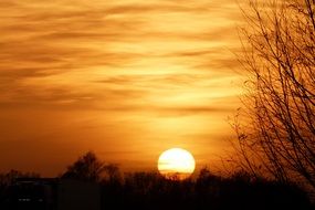 golden sunset above dark bare trees