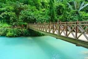 bridge over the blue river