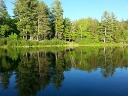 beautiful forest lake landscape