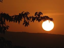 white sun and orange sunset