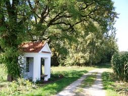 small chapel on forest path