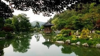 hanok near the pond in the arboretum