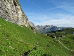 meadow in mountains in summertime