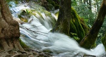 picture of the waterfall in a forest in Croatia