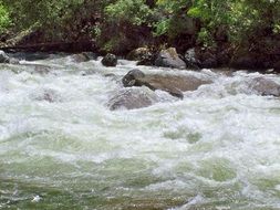 mountain stream on a background of the picturesque landscape