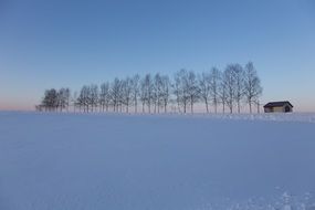 winter in hokaido island