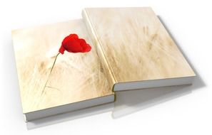 red poppy painted on a book cover