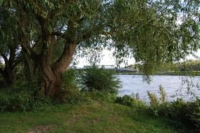 idyllic river shore