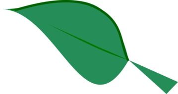 graphic image of a green leaf of a plant