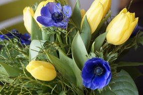 Spring bouquet of yellow tulips and blue flowers