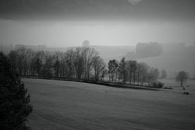 Black and white landscape with the haze in autumn