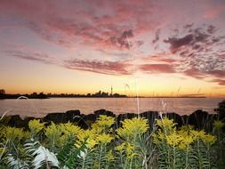 lake in Toronto in the evening