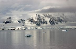 floating pieces of ice off the coast of Antarctica