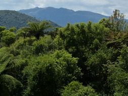 North Island in New Zealand
