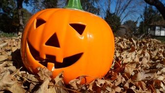 halloween pumpkin on dry leaves