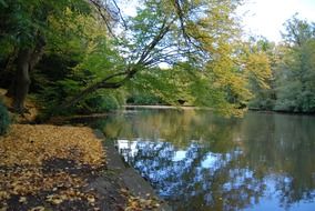 landscape of the autumnal nature