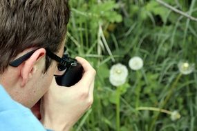 Photography of dandelions