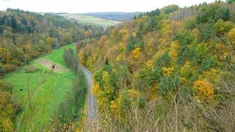 landscape of grey motorway between autumn forests