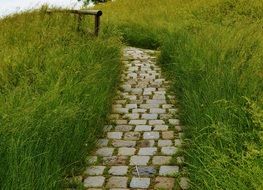 cobblestones among tall green grass