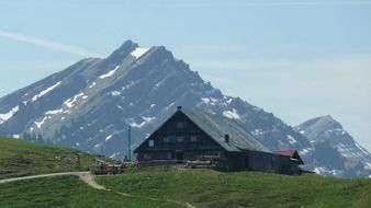 mountains alpe meadow, allgau