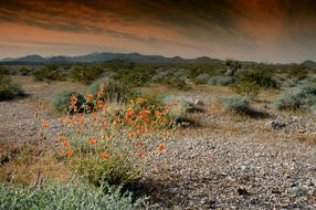 countryside landscape in nevada