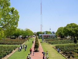people walk in the park