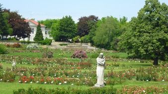 statue in the rose garden