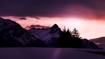 purple sunset in mountains