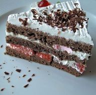 A slice of German Black Forest cake