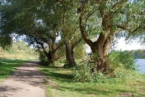 rural path along river