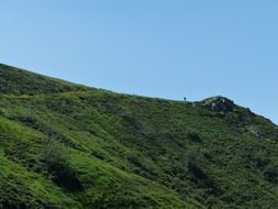 landscape of growing grass on a mountain