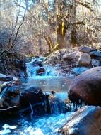 cold turquoise forest stream