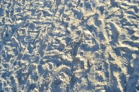 sandy beach in florida
