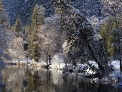 lake in the forest in a national park