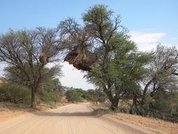 africa national park